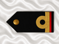 Capona Rígida AF (CA)