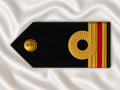 Capona Rígida AN (CA)