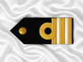 Capona Rígida CF (CAA)