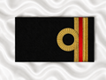 Capona Flexible GM (CA)